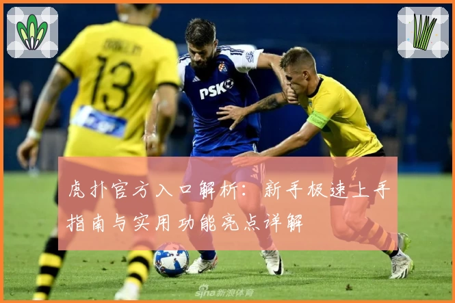 虎扑官方入口解析：新手极速上手指南与实用功能亮点详解