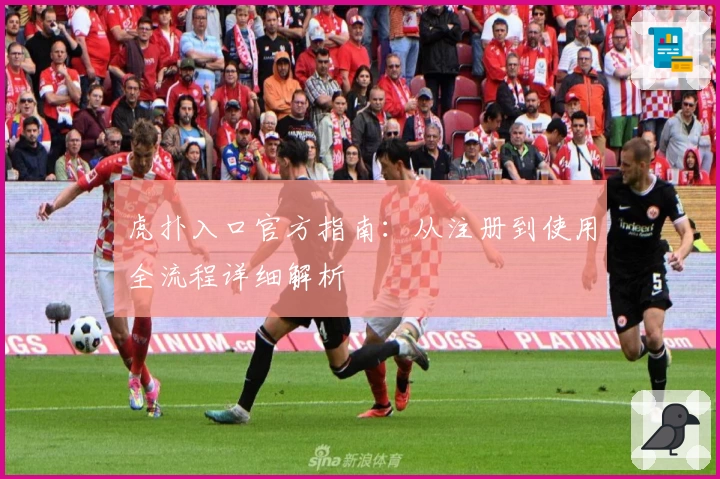 虎扑入口官方指南：从注册到使用全流程详细解析