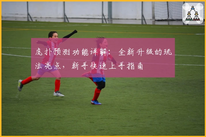 虎扑预测功能详解：全新升级的玩法亮点，新手快速上手指南