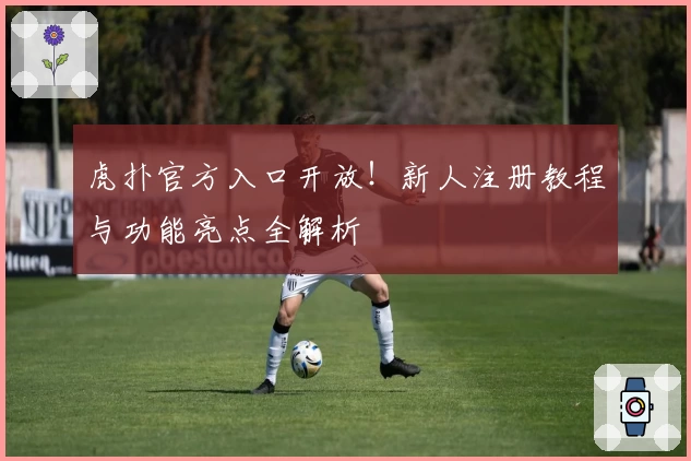 虎扑官方入口开放!新人注册教程与功能亮点全解析